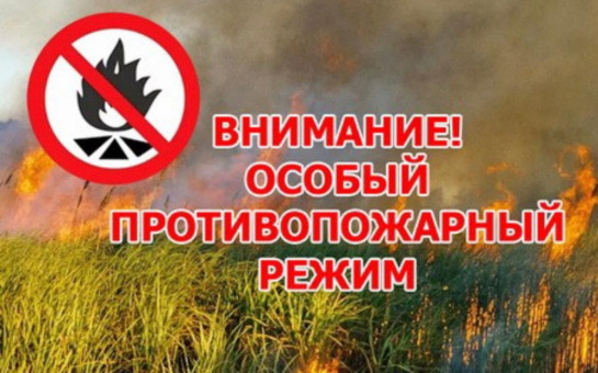 Особый противопожарный режим на территории Новосибирской области